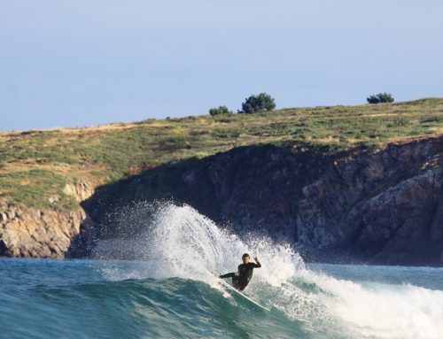 La Federación Española de Surfing convoca una plaza para el Máster de Formación Permanente en Alto Rendimiento Deportivo impartido por el Comité Olímpico Español